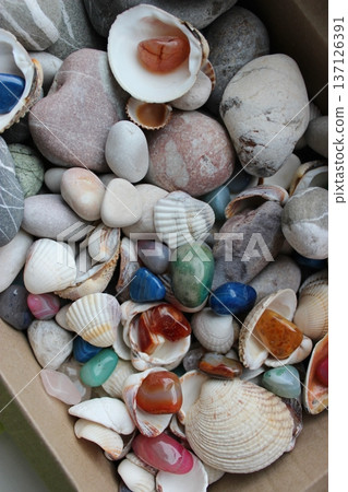 Cardboard Tray With Rough Multi Colored Mineral Stones, Variety Shells And Sea Stones   137126391