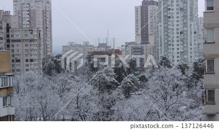 Cityscape With Pine Park Between Multi Storey Apartments At Winter Day After Snowfall  137126446