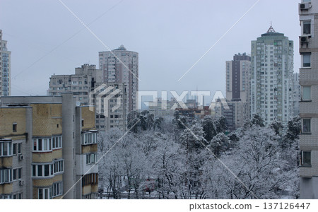 High-rise residential buildings around a green park with pine trees covered with snow 137126447