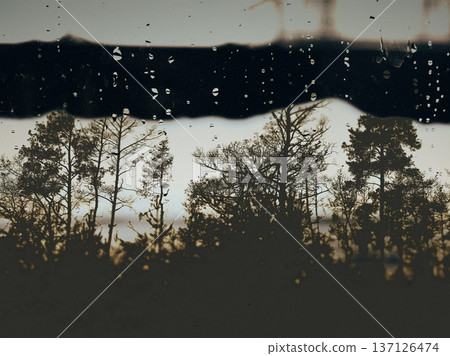 Abstract forest silhouette through wet glass with raindrops. Moody atmospheric landscape with dark trees and water droplets texture. Creative double exposure effect, cinematic nature background. Abstract forest silhouette through wet glass with raindrops. Moody atmospheric landscape with dark trees and water droplets texture. Creative double exposure effect, cinematic nature background. 137126474