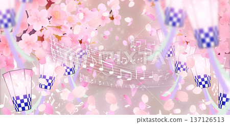 Background material of cherry blossoms with falling petals 137126513