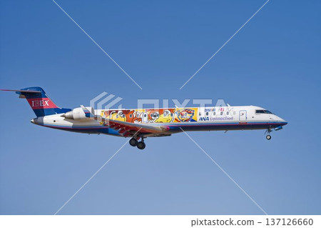 Winter Sendai Airport, landing plane, Natori City, Miyagi Prefecture Winter Sendai Airport, landing plane, Natori City, Miyagi Prefecture 137126660
