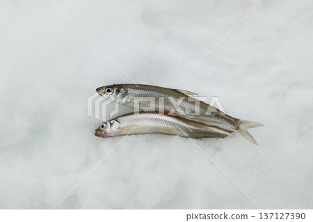 smelt, smelt, 137127390