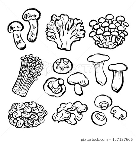 Mushroom line drawing illustration set 137127666