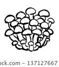 Line drawing illustration of shimeji 137127667
