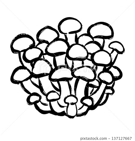 Line drawing illustration of shimeji Line drawing illustration of shimeji 137127667