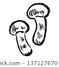 Matsutake mushroom line drawing illustration 137127670