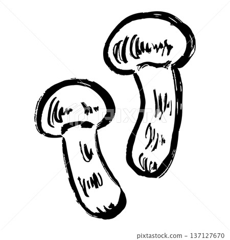 Matsutake mushroom line drawing illustration 137127670