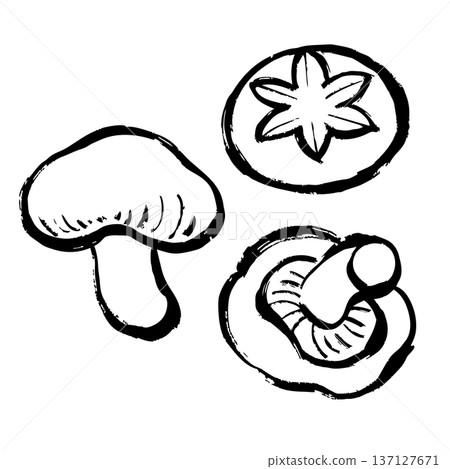 Shiitake mushroom line drawing illustration 137127671