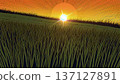 Pixel art illustration of a wheat field 137127891