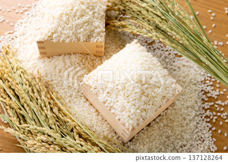 Rice in a bowl 137128264