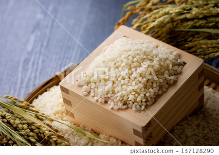 Rice that entered the bay Rice that entered the bay 137128290
