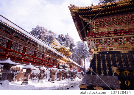 日光市、日光東照宮、雪中的陽明門 137128424