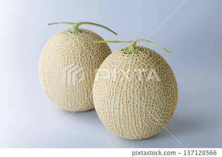 cantaloupe  137128566