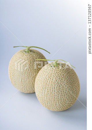 cantaloupe  137128567