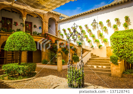 Courtyard of a typical house in Cordoba, Spain 137128741