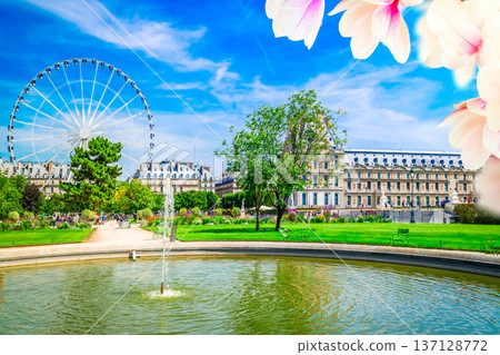 Tuileries garden, Paris Tuileries garden, Paris 137128772