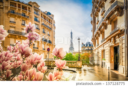 eiffel tour and Paris street 137128775