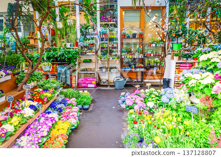Paris flower market Paris flower market 137128807