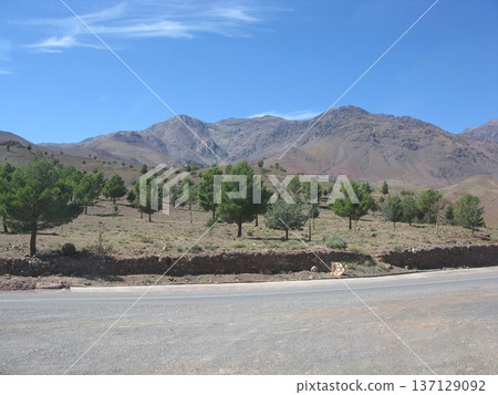 穿越摩洛哥阿特拉斯山脈 穿越摩洛哥阿特拉斯山脈 137129092