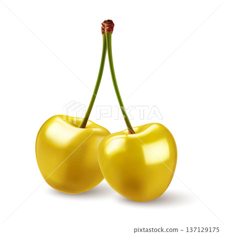 Cherry berry 137129175