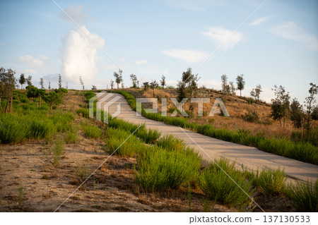 Image of A Path in Nature Uploading to the Sky in a very spiritual and symbolic way Image of A Path in Nature Uploading to the Sky in a very spiritual and symbolic way 137130533
