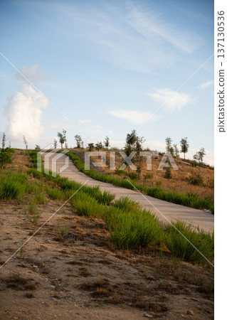 Image of A Path in Nature Uploading to the Sky in a very spiritual and symbolic way Image of A Path in Nature Uploading to the Sky in a very spiritual and symbolic way 137130536