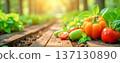 明媚的春日陽光和新鮮蔬菜的特寫 137130890