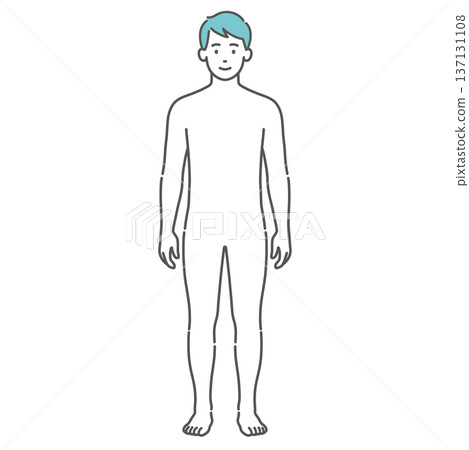 Illustration of a male human body/full-body model (front view) 137131108