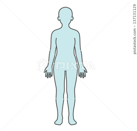 Human body diagram/full body silhouette base illustration (female, front view) 137131129