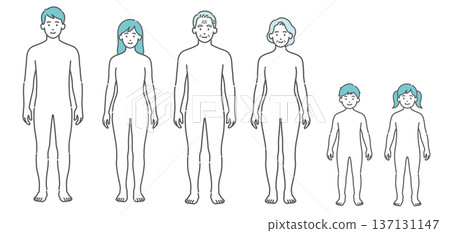 一套包含各年齡層（男性、女性、老年人、兒童）人體結構圖和全身模型的插圖集 137131147