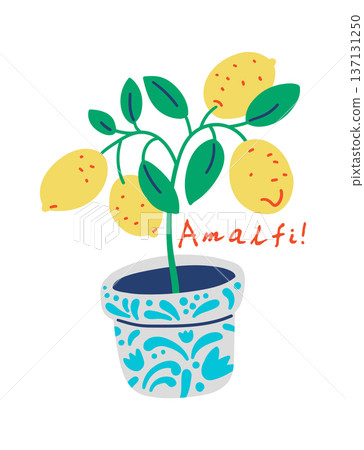 Lemon Tree In Pot Hand Drawn Lemon Tree In Pot Hand Drawn 137131250