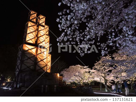 夜晚的櫻花和尼拉亞瑪反射爐 137131621