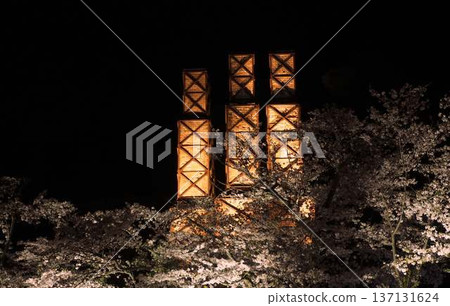 Cherry blossoms at night and Nirayama Reverberatory Furnace Cherry blossoms at night and Nirayama Reverberatory Furnace 137131624