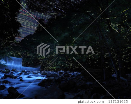 Fireflies in the mountain stream Fireflies in the mountain stream 137131625