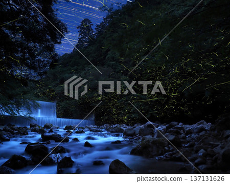 Fireflies in the mountain stream 137131626