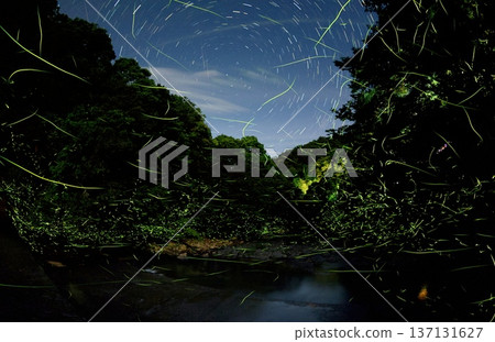 Fireflies in the mountain stream Fireflies in the mountain stream 137131627