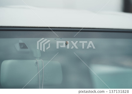 A long-legged turtle perched on a car 137131828