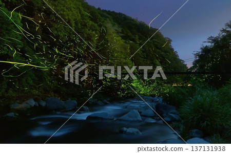 Fireflies in the mountain stream Fireflies in the mountain stream 137131938
