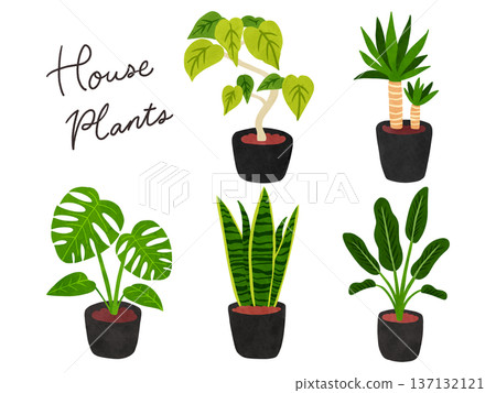 Set of 5 houseplants 1 - watercolor hand-drawn illustration Set of 5 houseplants 1 - watercolor hand-drawn illustration 137132121