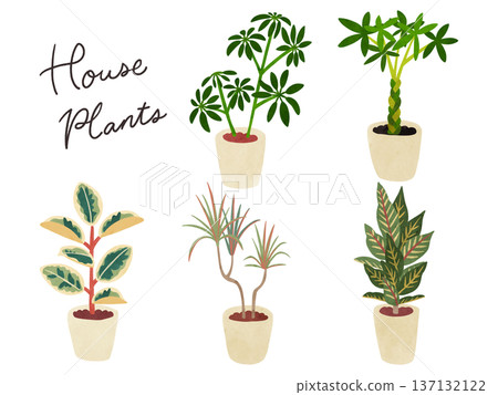 Set 2 of 5 houseplants - watercolor-style hand-drawn illustrations Set 2 of 5 houseplants - watercolor-style hand-drawn illustrations 137132122