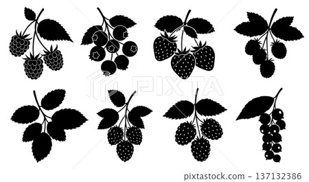 Black Solid Berry Branch Silhouettes Set of Six on White Background 137132386
