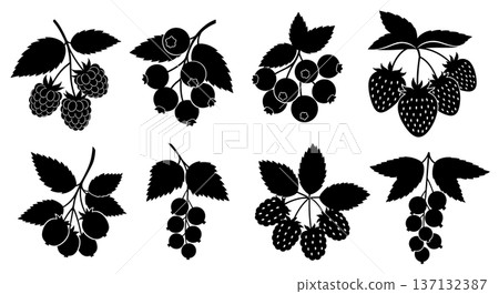 Black Solid Berry Branch Silhouettes Set of Six on White Background 137132387