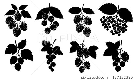 Black Solid Berry Branch Silhouettes Set of Six on White Background Black Solid Berry Branch Silhouettes Set of Six on White Background 137132389