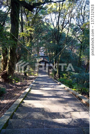 Looking down the steep stairs Looking down the steep stairs 137132928