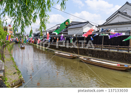 螺旋鯉魚擬餌(栃木縣栃木市,5月拍攝) 螺旋鯉魚擬餌(栃木縣栃木市,5月拍攝) 137133030