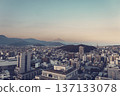 靜岡城在黃昏時分被魔幻時刻的光芒照亮，冬日的富士山也清晰可見。 137133078