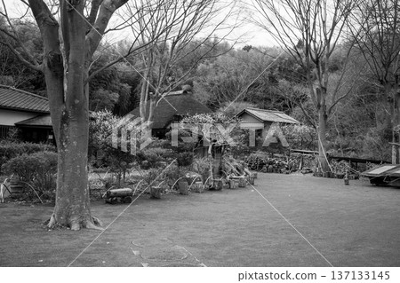 A landscape with plum blossoms and old houses A landscape with plum blossoms and old houses 137133145