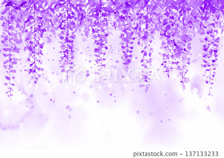Fantastic wisteria flowers, purple watercolor painting Fantastic wisteria flowers, purple watercolor painting 137133233