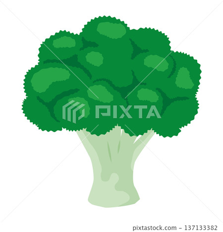 西蘭花向量圖標，葉菜類蔬菜插圖素材 137133382